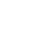 icon 0